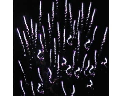 Р8380 Золотой резерв Проф - пиротехника 